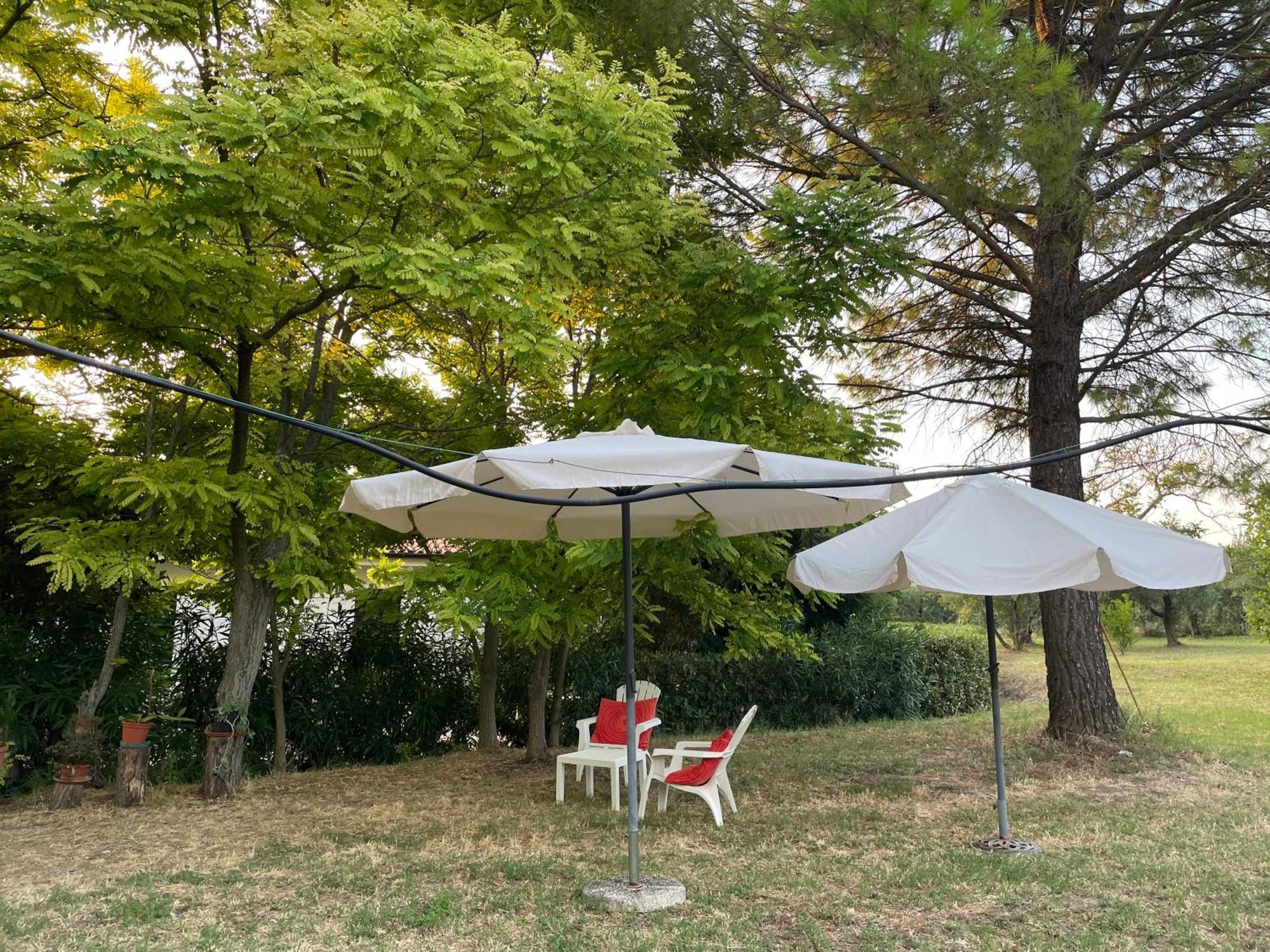 Bed & Breakfast La Casa Nel Larino